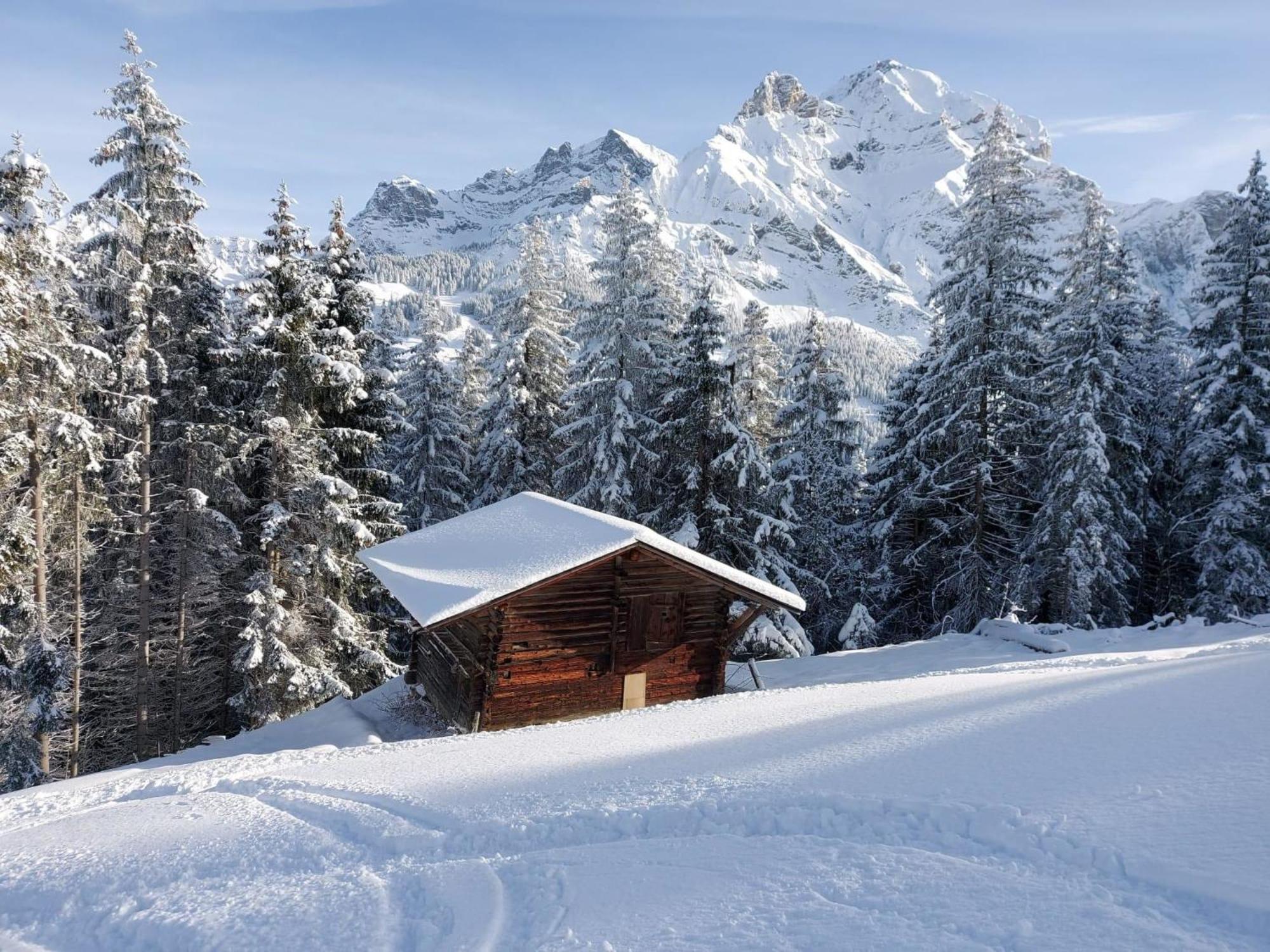Apartment Laerchehuus By Interhome Adelboden Kültér fotó