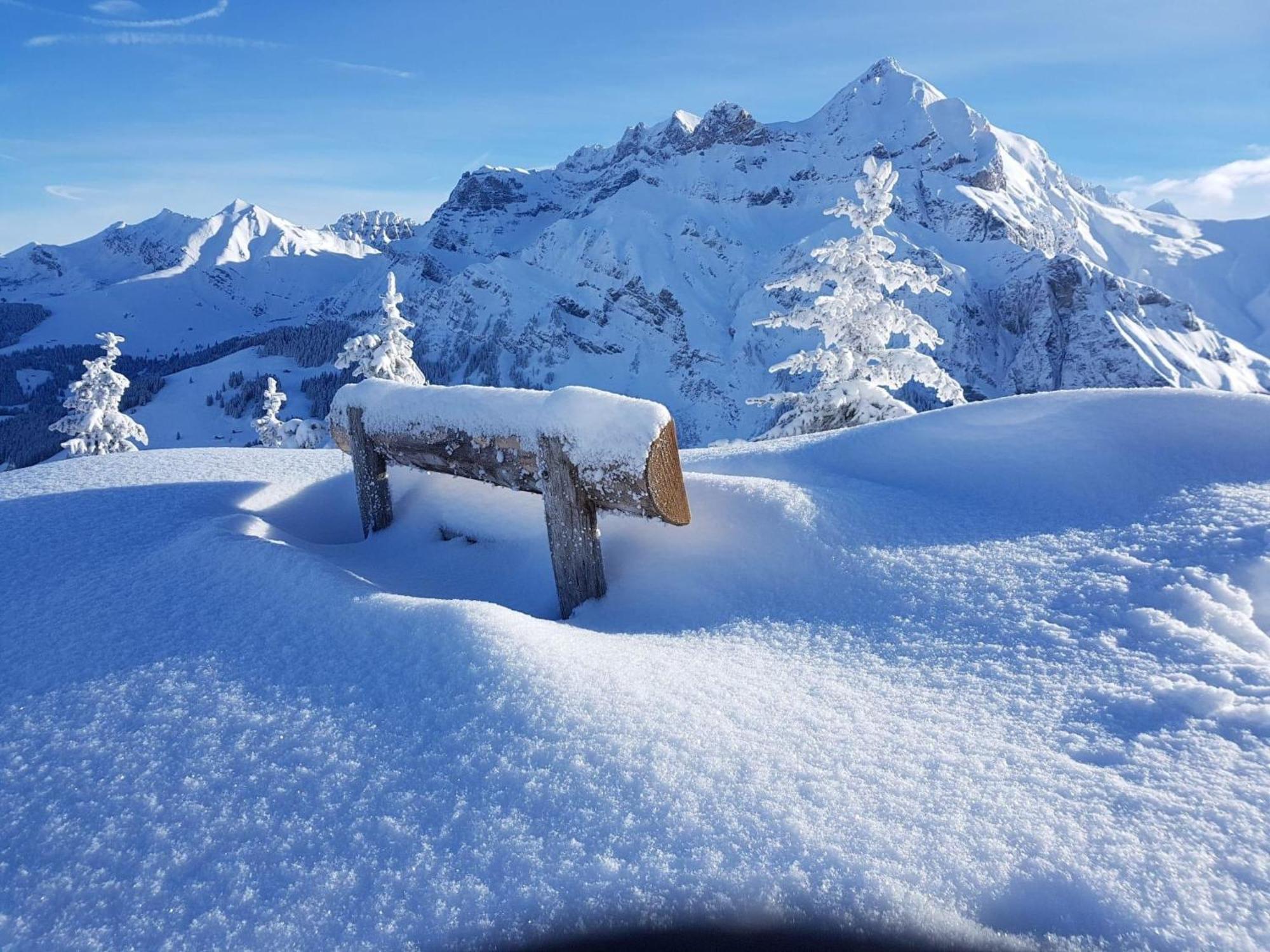 Apartment Laerchehuus By Interhome Adelboden Kültér fotó