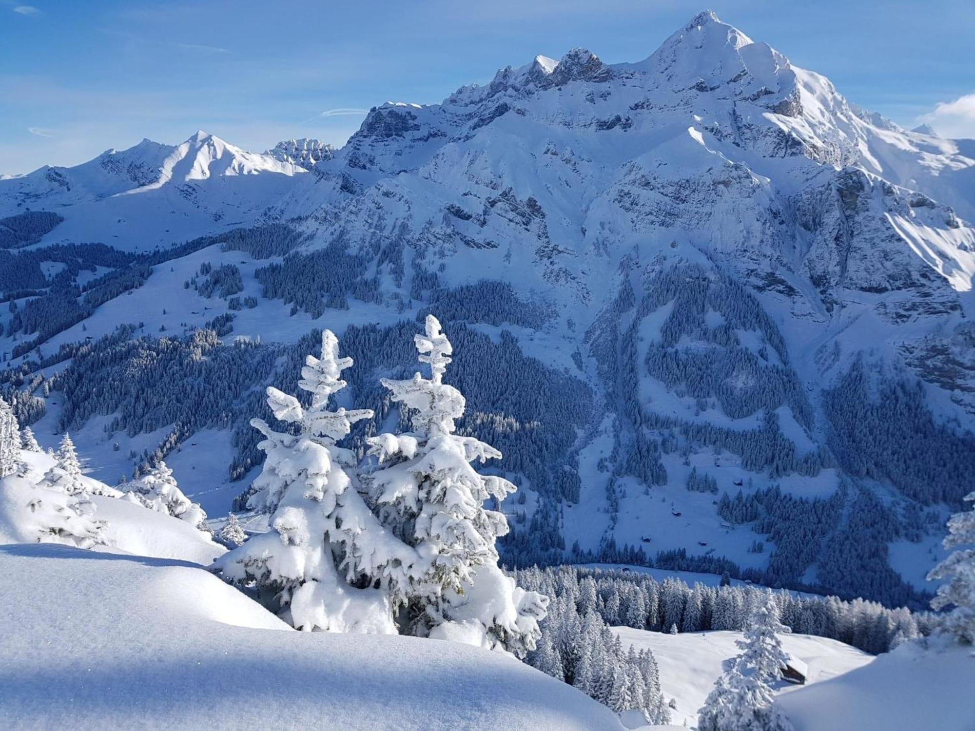 Apartment Laerchehuus By Interhome Adelboden Kültér fotó