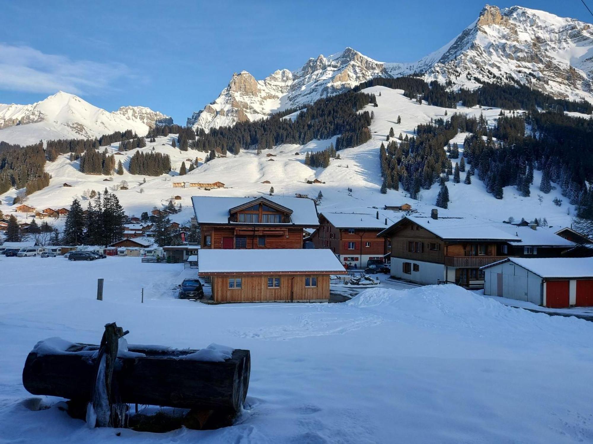Apartment Laerchehuus By Interhome Adelboden Kültér fotó