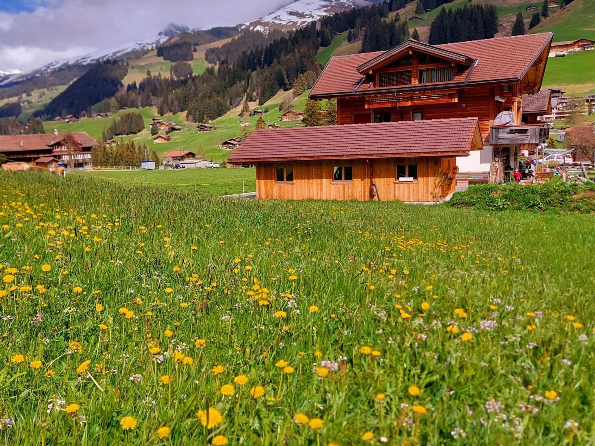 Apartment Laerchehuus By Interhome Adelboden Kültér fotó