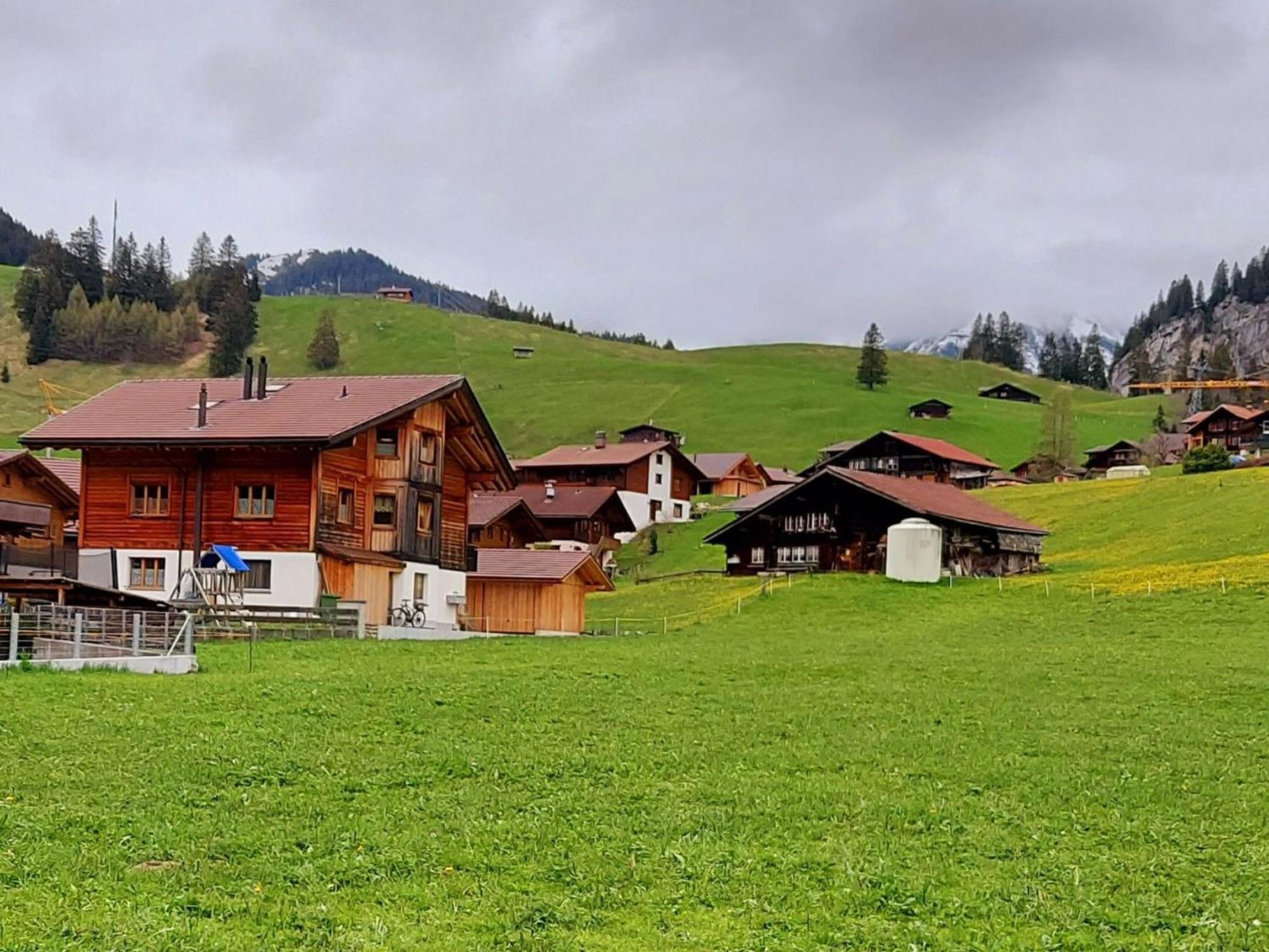 Apartment Laerchehuus By Interhome Adelboden Kültér fotó